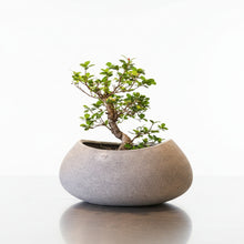 Fibre Pots_BOAT PLANTER