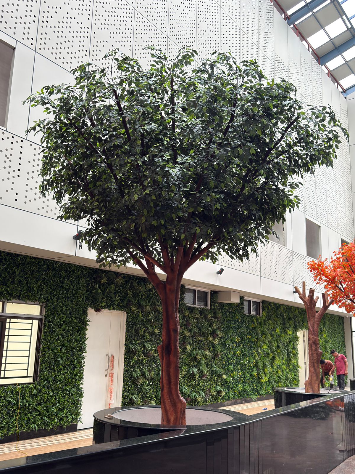 Single Banner Images