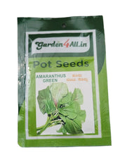 Vegetable Seeds Set Of 5