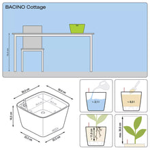 Lechuza Bacino Cottage Charcoal Self- Watering Planter
