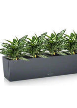 Lechuza Balconera 80 Slate stone Self-Watering Planter