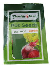Vegetable Seeds Set Of 5