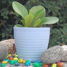 Stylish Multi-Colored Fibre Pots for Modern Gardening