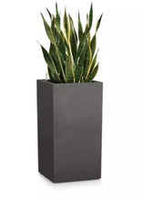 Lechuza Canto 40 High Graphite Self-Watering Planter