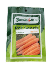 Vegetable Seeds Set Of 5