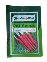 Vegetable Seeds Set Of 4