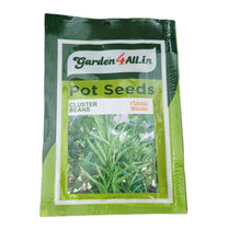 Vegetable Seeds Set Of 5