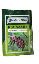 Flower Seeds Set Of 5