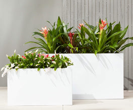 White Rectangular Fibre Planter RCT 01