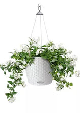 Lechuza Nido White Self - Watering  Planter