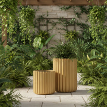 Fibre Pots_RIBB ROLL