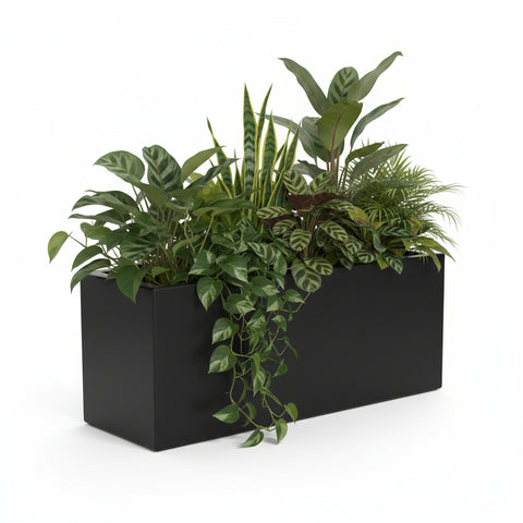 Rectangular Pot Front View Buy Rectangular Plant Pots Online | Shop Rectangular Planters ...