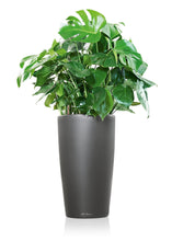 Lechuza RondoLS 40 Charcoal Self-Watering Planter