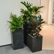 Fibre Pots_Sq-String