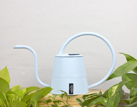 Watering Green Metal Can