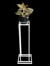 Tall One Tier Metal Stand