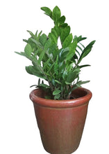 Ceramic Pot Dark Red (1061)