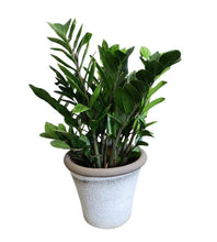 White Rustic Cone Ceramic Pot
