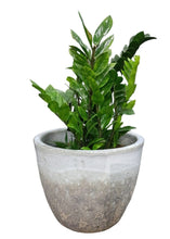 Ceramic Rustic White Pot