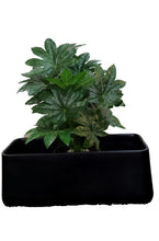 Fibre Rectangular Black Planter DRCT 01