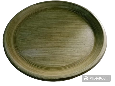 Terracotta Saucer Matted Green