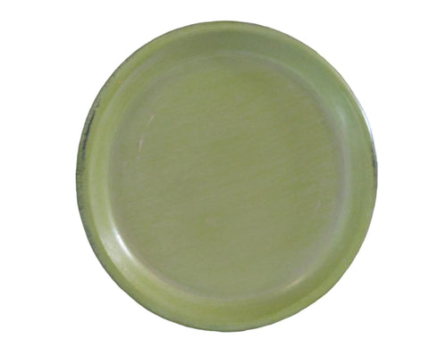 Terracotta Saucer Matted Light Green