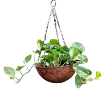 Hanging Coir Basket
