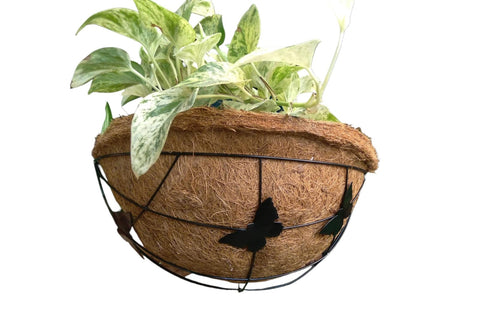 Coco Wall Hanging Pot