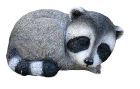 Resin Sleeping Raccoon