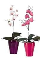 Artificial Orchid Small