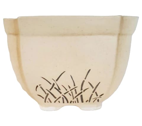 Khurja Ceramic Square Cream Brown Pot