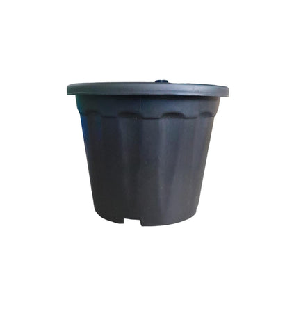Plastic Black Pot