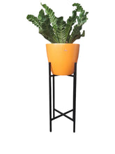 Crafter Metal Indoor Plant Stand 2ft