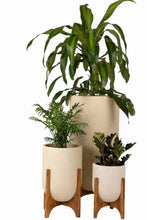 Ammo Planter with Midi Wood Stand