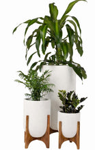 Ammo Planter with Midi Wood Stand