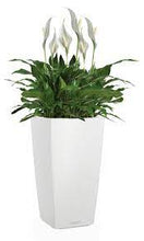 Lechuza CubicoLS 40 White Self-Watering Planter