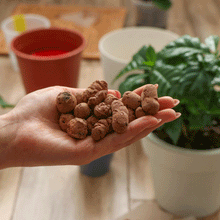 Expanded Clay Balls (LECA)