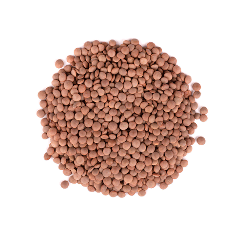 Expanded Clay Balls (LECA)