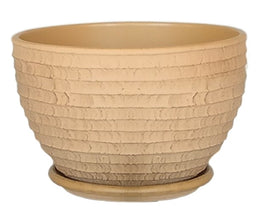 Terracotta 3101 - 31 Palm Sugar