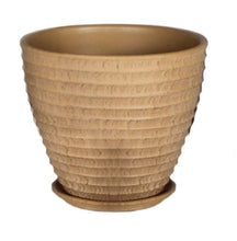 Terracotta 3713-31  Palm Sugar