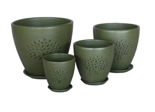 Terracotta 3738 - 357  Matted Olive Green