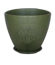 Terracotta 3738 - 357  Matted Olive Green