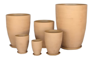 Terracotta 3903- 31 Palm Sugar