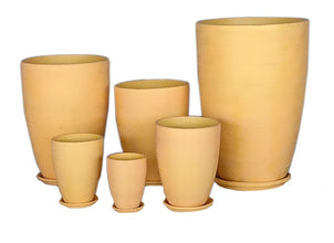 Terracotta 3903-321  Matted Daffodil