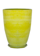 Terracotta 3903- 347  White Dusting Green