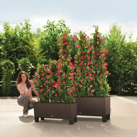 Lechuza Trio 30 Mocca  Self Watering Planter