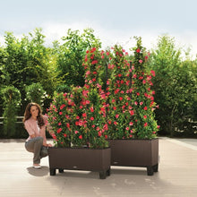 Lechuza Trio 30 Mocca  Self Watering Planter
