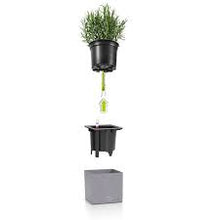 Lechuza Canto14 Grey Self-Watering Planter