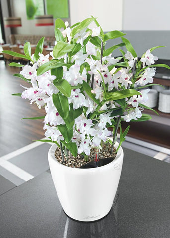 Lechuza ClassicoLS 70 White Self-Watering Planter
