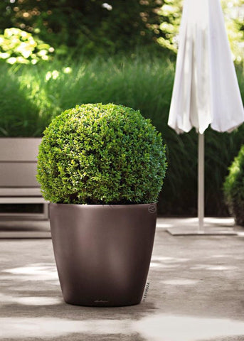 lechuza classico self watering polypropylene indoor outdoor planter Lechuza Puro 50 Slate Self- Watering – Green Carpet